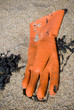 fishing glove on the beach