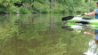 Young Man Kayaking