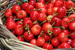cerises bigarreau Napoléon