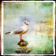vintage landscape with sea gull vintage landscape with sea gull