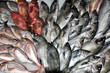 Poissons à vendre