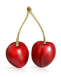 Cherry Pair