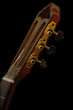 Gitarrenhals Gitarrenhals