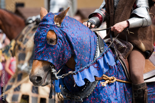 Photo: Medieval horse Medieval horse