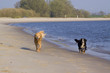 Spaß am Strand