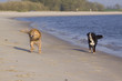 Spaß am Strand