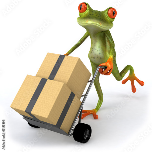 Grenouille déménage