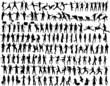 Collection of Silhouettes Collection of Silhouettes