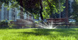 summer grass