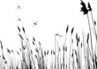 real grass silhouette - vector - two colors