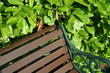 Park Bench