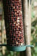 Bird Feeder