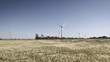 Windy day with wind turbine in horizon Windy day with wind turbine in horizon
