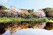 Garden of spring