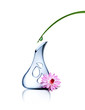 Zenitude_0001130