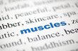 mot muscles bleu texte flou