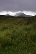 Glencoe