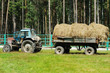 haymaking
