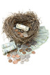 Financial Nest Egg Overflowing