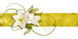 decoration of lillies on banner decoration of lillies on banner