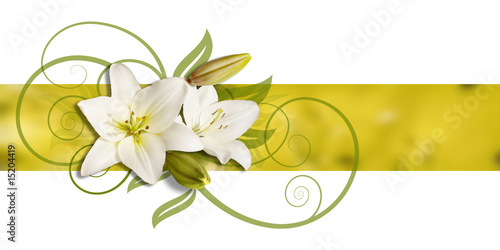 Illustration: decoration of lillies on banner decoration of lillies on banner