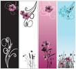Decorative banners