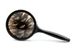 magnifying glass with pine cone