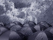 Rainy day