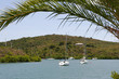Falmouth Bay and English Harbor