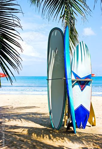 Photo: Surf boards on the beach Surf boards on the beach