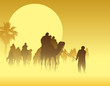 Camel caravan