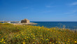 fort de paphos à Chypre