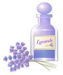 Flacon de parfum lavande