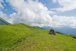 Cairn