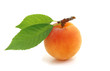 Apricot.