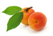 Apricot.
