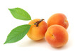 Apricot.