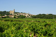 Châteauneuf du pape Châteauneuf du pape