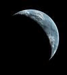 moon moon