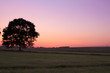 Harmonische Sonnenuntergangsstimmung auf dem Land