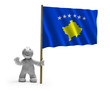 Kosovo Flagge