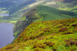 Mont Wicklow