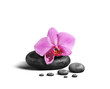 Zenitude_0005232