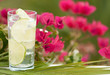 Gin & Tonic With Lime