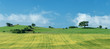 P2009-07-04-125