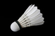 Volant de badminton