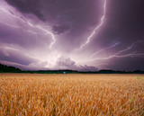 Storm over wheat - Fine Art prints