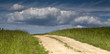 Field of Green Grass and Blue Sky Field of Green Grass and Blue Sky