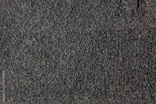 Photo: Grass close-up Grass close-up