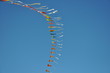Winddrachen